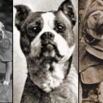 Los perros héroes: la historia de dos perros soldado de la Gran Guerra
